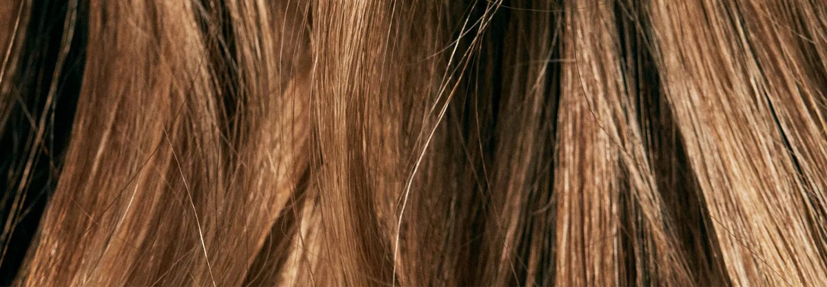 Dry or Damaged Hair