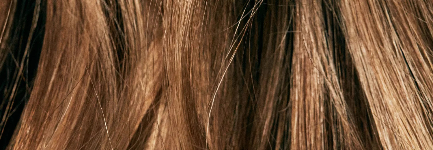 Close-up of long brown hair strands, illustrating dry damaged hair in need of repair.