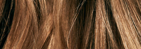 Dry or Damaged Hair