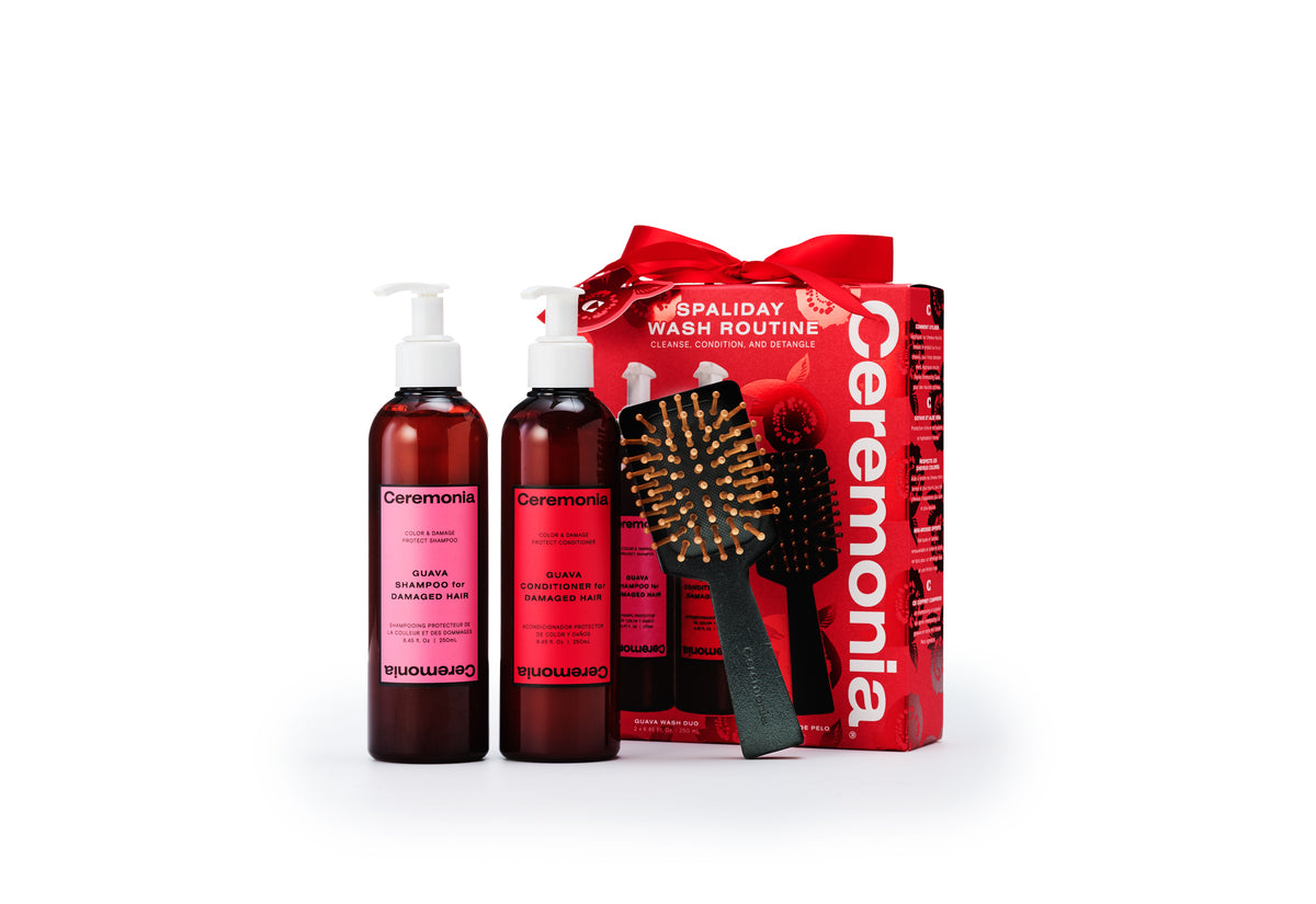 2026 Holiday box with contents in front of it: shampoo, conditioner and brush.