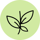 90%+ naturally derived ingredients