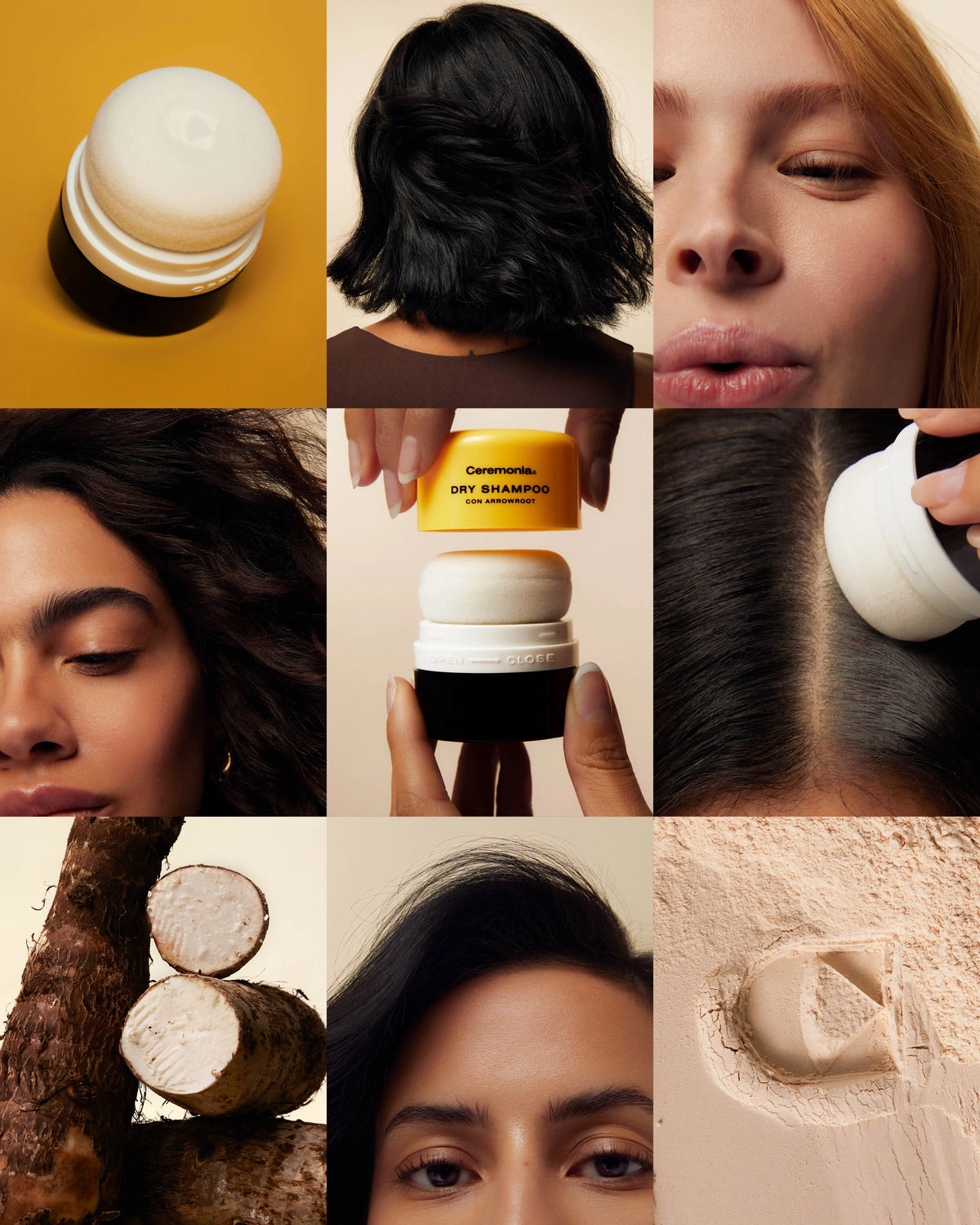 Dry Shampoo con Arrowroot