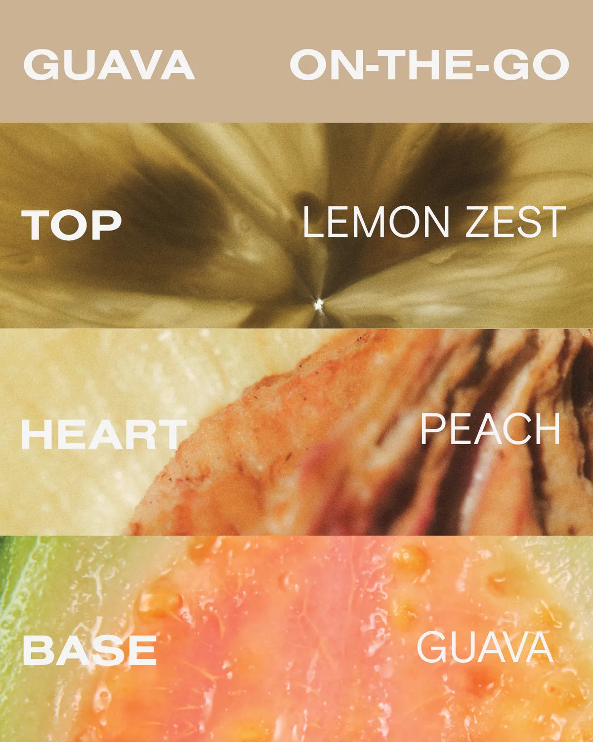 Guava On-The-Go Kit