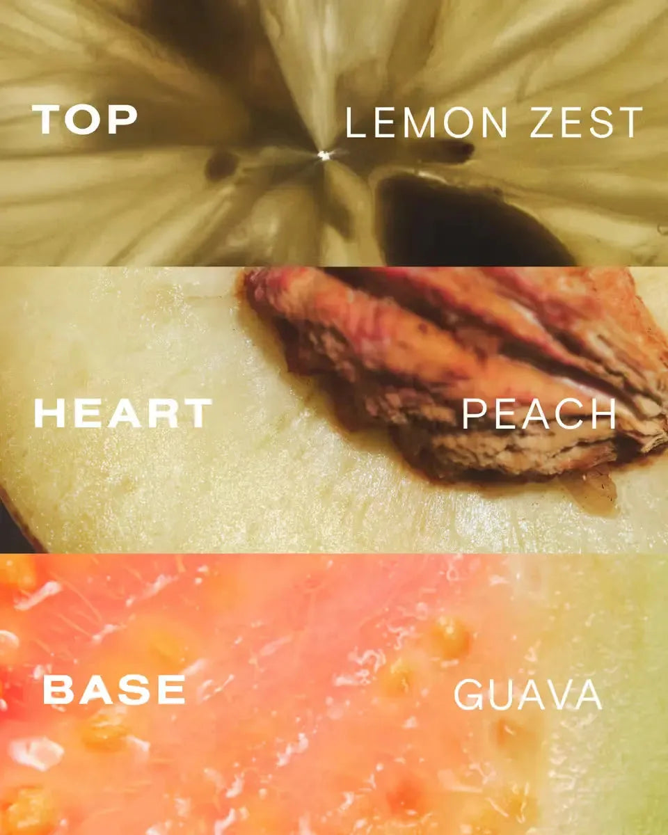 Scent pyramid for guava shampoo with lemon zest top, peach heart, and guava base notes.