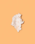Swatch of whipped white papaya scalp scrub with pink salt exfoliating granules on an orange background.